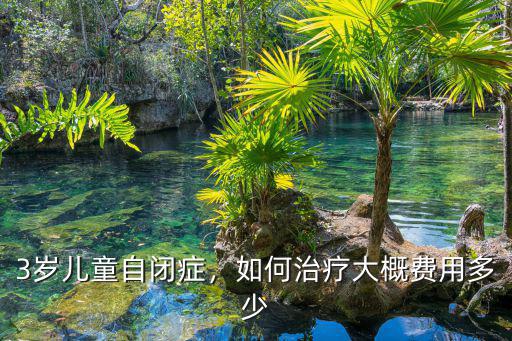 3歲兒童自閉癥，如何治療大概費(fèi)用多少