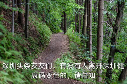 深圳頭條友友們，有沒有人離開深圳健康碼變色的，請告知