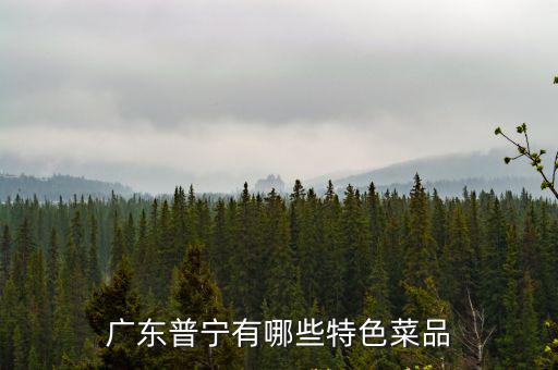 廣東普寧有哪些特色菜品