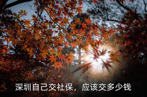 深圳社保醫保交多少錢,深圳自己交社保