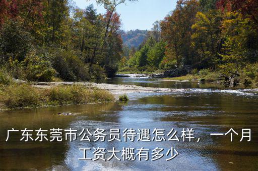 廣東東莞市公務員待遇怎么樣，一個月工資大概有多少