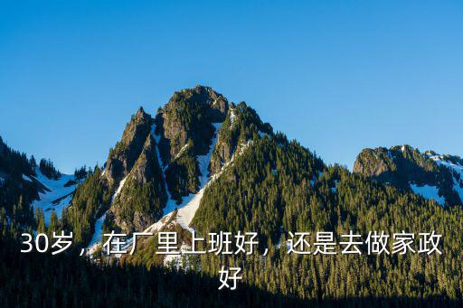 30歲，在廠里上班好，還是去做家政好