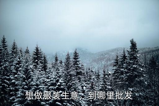 想做服裝生意，到哪里批發