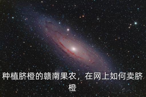 梅州臍橙哪里有賣,在網上如何賣臍橙