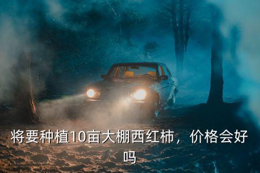 將要種植10畝大棚西紅柿，價格會好嗎