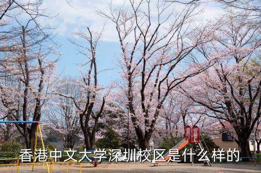 香港中文大學(xué)深圳校區(qū)是什么樣的