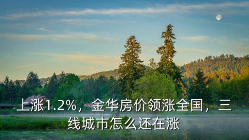 金華房價漲幅多少,金華房價領漲全國