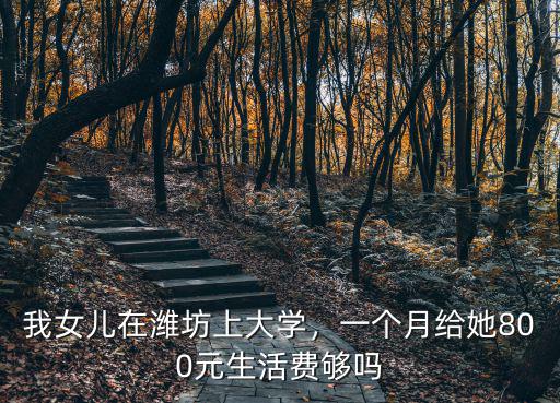 我女兒在濰坊上大學(xué)，一個(gè)月給她800元生活費(fèi)夠嗎