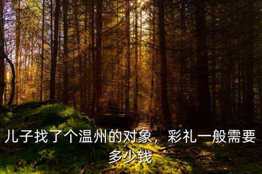 兒子找了個溫州的對象，彩禮一般需要多少錢