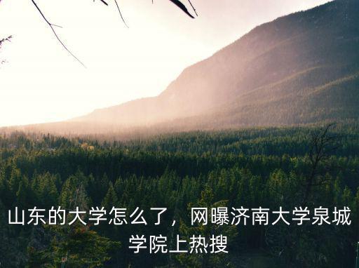 山東濟南大學專科學費多少,網曝濟南大學泉城學院上熱搜