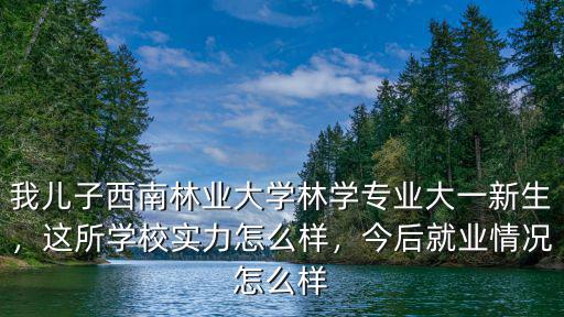 深圳西林實業怎么樣,這所學校實力怎么樣