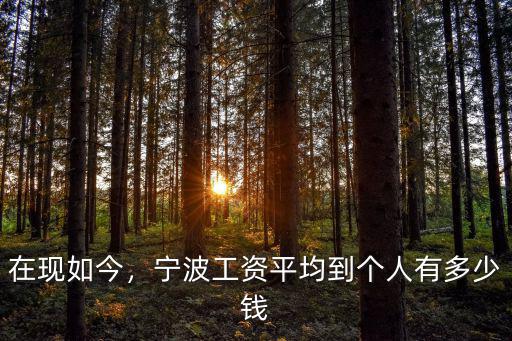 在現如今，寧波工資平均到個人有多少錢