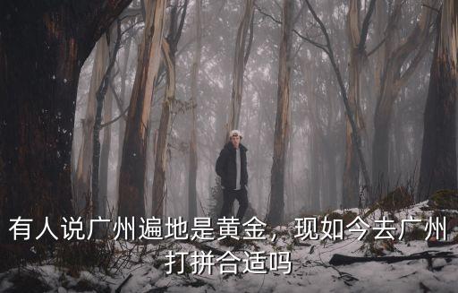 有人說廣州遍地是黃金，現如今去廣州打拼合適嗎