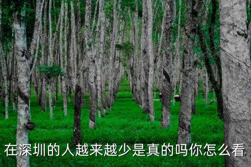 深圳外國人怎么那么少,為什么深圳的國際航班那么少