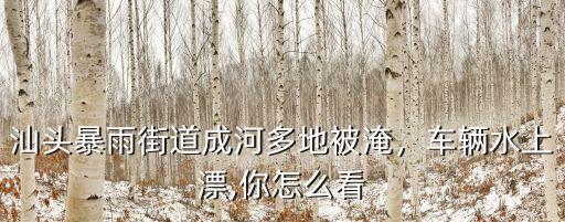汕頭暴雨街道成河多地被淹，車輛水上漂,你怎么看