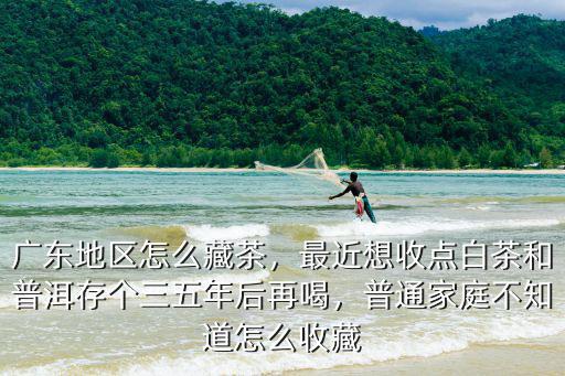 廣東地區(qū)怎么藏茶，最近想收點(diǎn)白茶和普洱存?zhèn)€三五年后再喝，普通家庭不知道怎么收藏