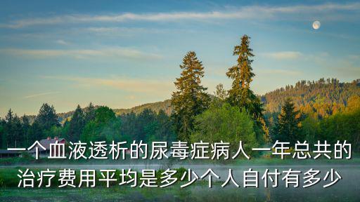 一個(gè)血液透析的尿毒癥病人一年總共的治療費(fèi)用平均是多少個(gè)人自付有多少