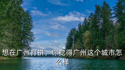 想在廣州打拼，你覺得廣州這個城市怎么樣