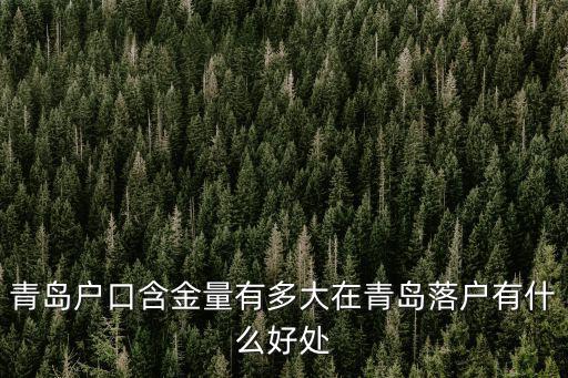 青島戶籍多少人,青島戶口含金量有多大