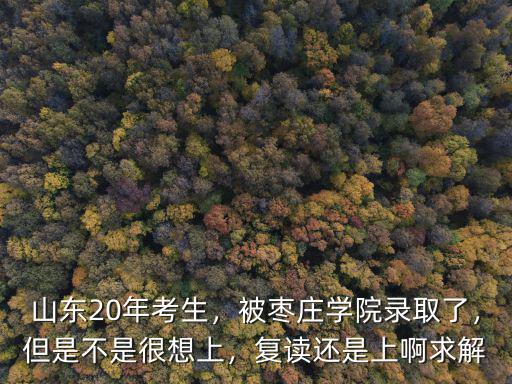 棗莊大學多少分能上,分數443分能上什么大學啊
