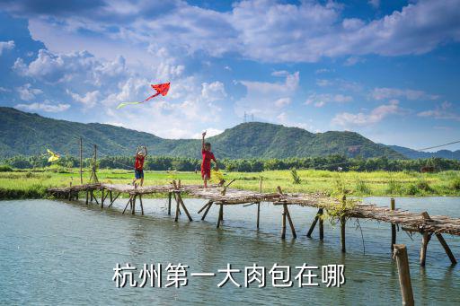 杭州第一大肉包在哪