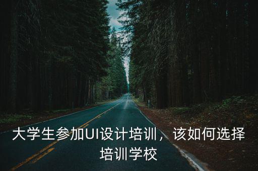 大學(xué)生參加UI設(shè)計(jì)培訓(xùn)，該如何選擇培訓(xùn)學(xué)校