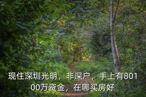 深圳手上資金80萬買房推薦哪里,100萬資金
