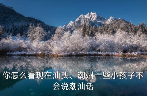 你怎么看現在汕頭、潮州一些小孩子不會說潮汕話