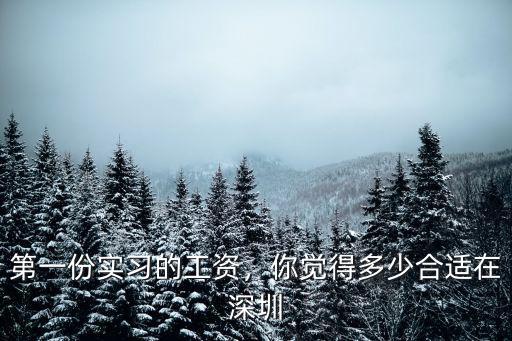 深圳外貿實習生工資多少,在深圳實習生3500