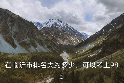 在臨沂市排名大約多少，可以考上985