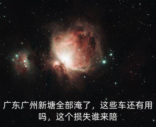 廣東廣州新塘全部淹了，這些車還有用嗎，這個損失誰來陪