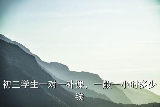 初三學生一對一補課，一般一小時多少錢