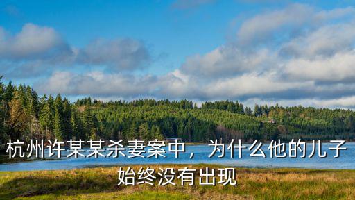 杭州殺妻案多少歲,杭州許某某殺妻案中