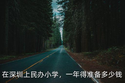 在深圳上民辦小學，一年得準備多少錢