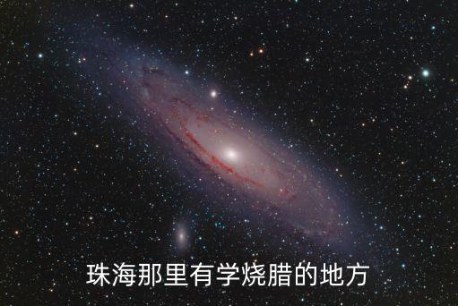 珠海那里有學燒臘的地方