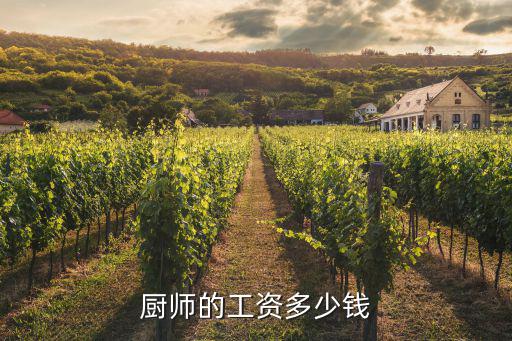 杭州切配工資多少錢,廚師的工資多少錢