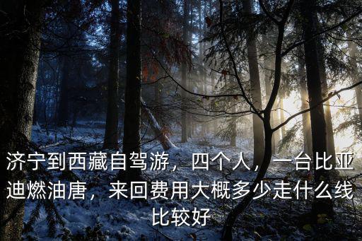 濟寧到西藏自駕游，四個人，一臺比亞迪燃油唐，來回費用大概多少走什么線比較好
