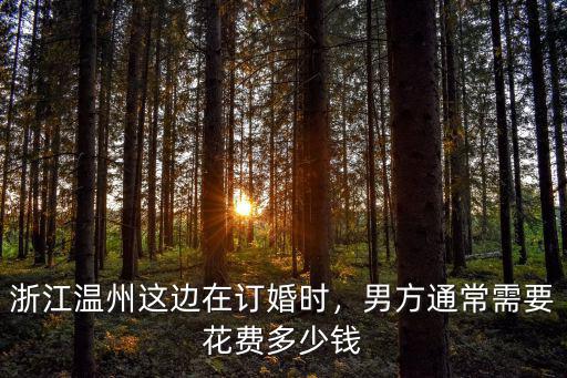 浙江溫州這邊在訂婚時，男方通常需要花費多少錢