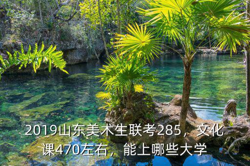2019山東美術生聯考285，文化課470左右，能上哪些大學