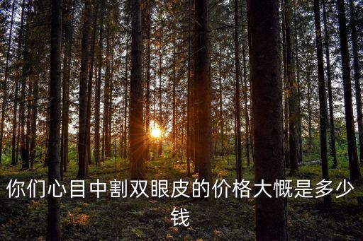 你們心目中割雙眼皮的價(jià)格大慨是多少錢