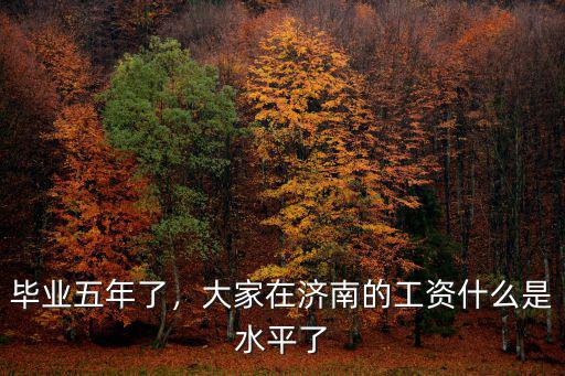 畢業(yè)五年了，大家在濟南的工資什么是水平了