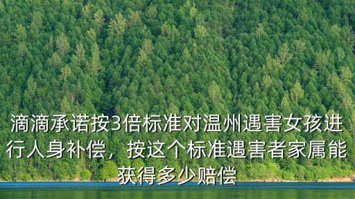 滴滴承諾按3倍標(biāo)準(zhǔn)對溫州遇害女孩進(jìn)行人身補(bǔ)償，按這個標(biāo)準(zhǔn)遇害者家屬能獲得多少賠償