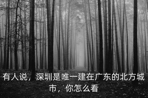 有人說，深圳是唯一建在廣東的北方城市，你怎么看