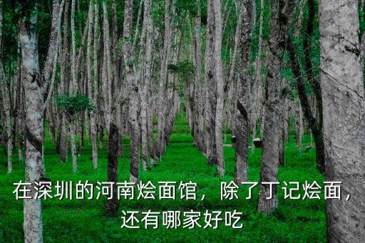 在深圳的河南燴面館，除了丁記燴面，還有哪家好吃