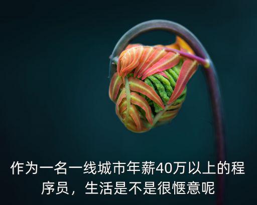 作為一名一線城市年薪40萬以上的程序員，生活是不是很愜意呢