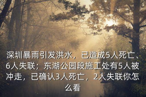 深圳暴雨引發洪水，已造成5人死亡、6人失聯；東湖公園段施工處有5人被沖走，已確認3人死亡，2人失聯你怎么看