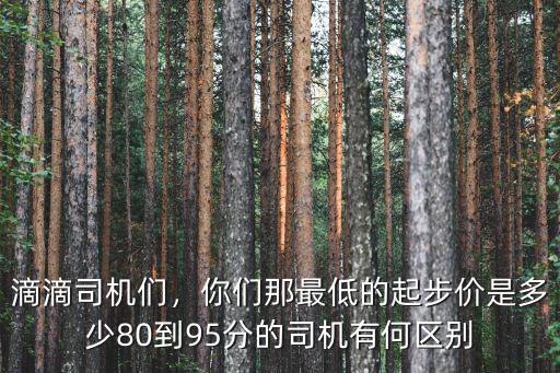 寧波跑滴滴起步價多少,請問滴滴還能跑嗎