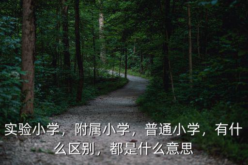 實驗小學，附屬小學，普通小學，有什么區(qū)別，都是什么意思