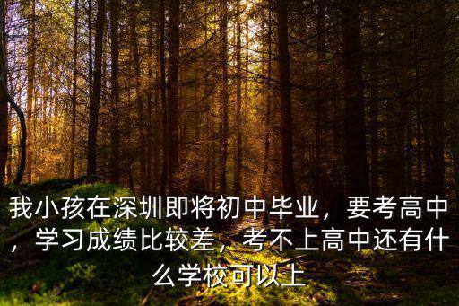 我小孩在深圳即將初中畢業，要考高中，學習成績比較差，考不上高中還有什么學校可以上