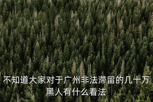 廣州人怎么看當地黑人的,為什么黑人集中在廣州